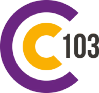 C103